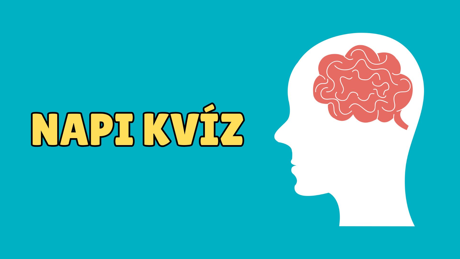műveltségi kvíz