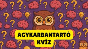 Agymozgató kvíz